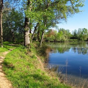 camping naturelle toulouse